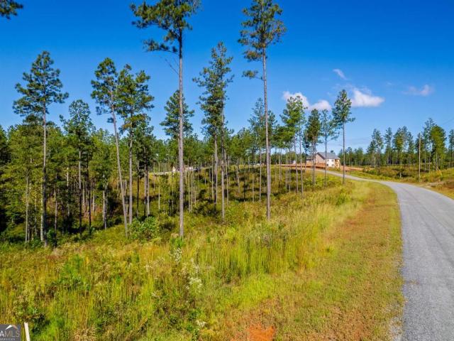 Land for sale in Gilmer, Georgia