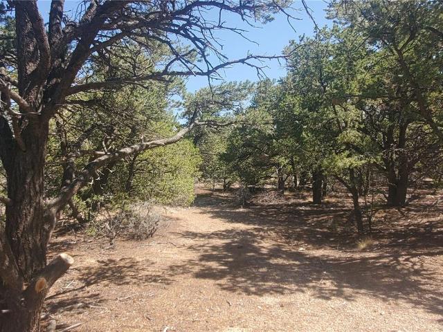 Land for sale in Fort Garland, Costilla County