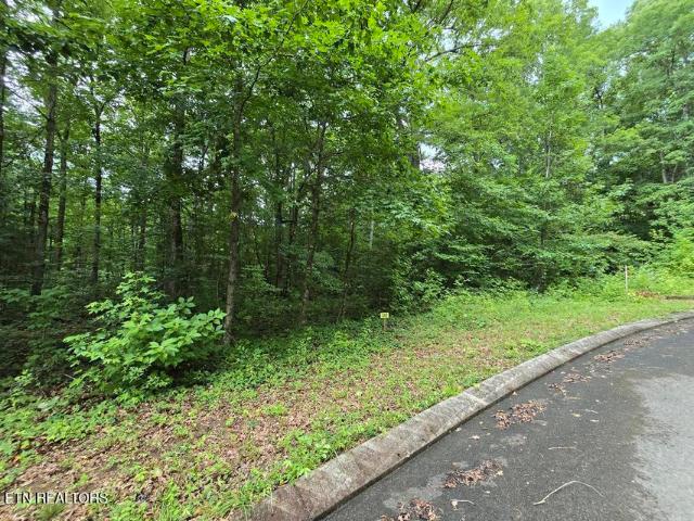 Land for sale in Dunlap, East Tennessee