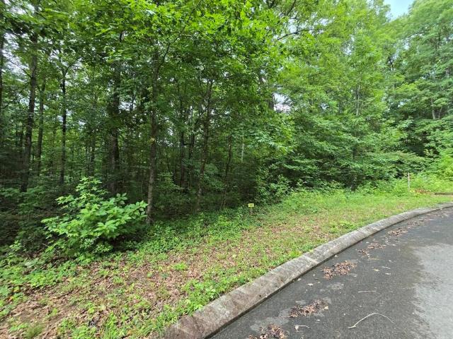 Land for sale in Tennessee