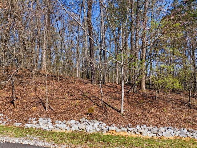Land for sale in Tennessee