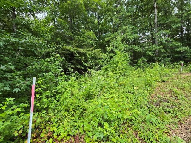 Land for sale in Dunlap, East Tennessee