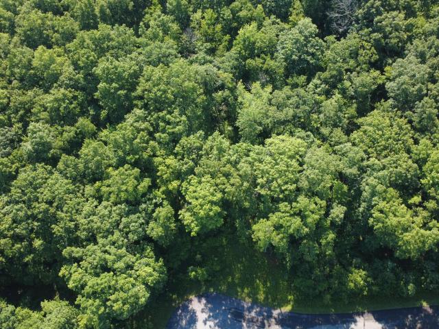 Land for sale in Blooming Grove Township, Pike County