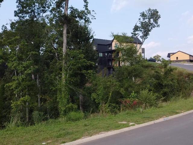 Land for sale in Tennessee