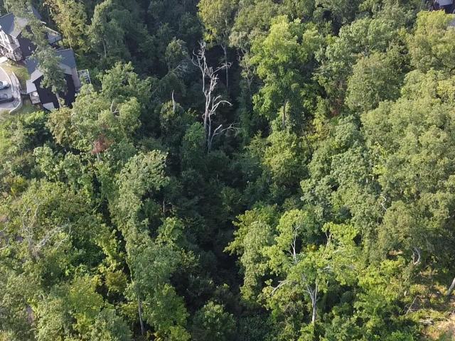 Land for sale in Tennessee