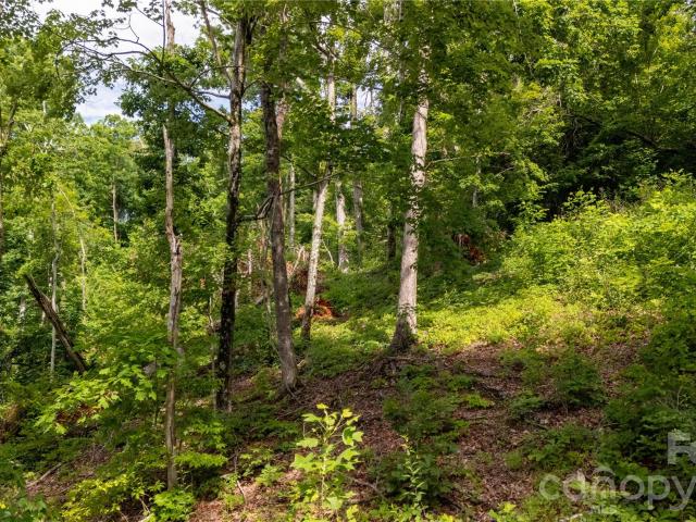 Land for sale in Rutherford, North Carolina