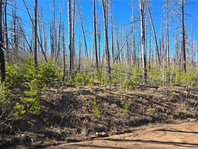 Land for sale in Fort Garland, Colorado