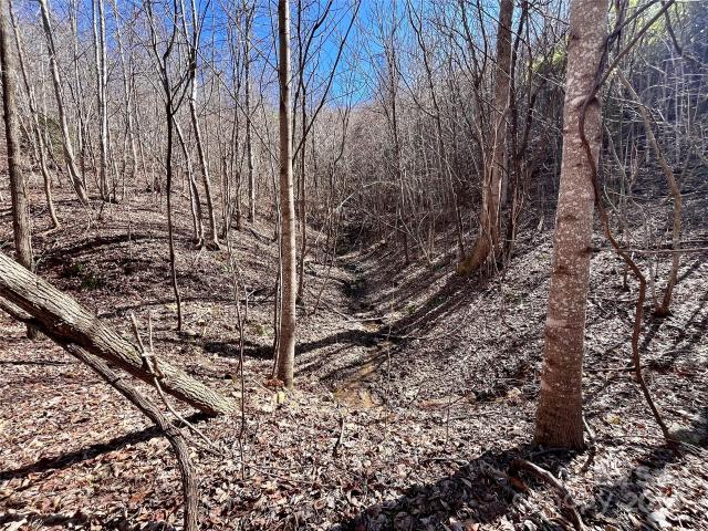 Land for sale in North Carolina