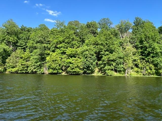 Land for sale in Goreville, Johnson County