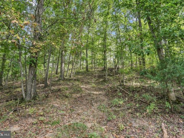 Land for sale in Maurertown, Shenandoah County