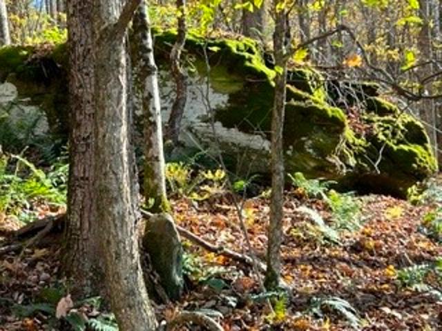 Land for sale in Bloomville, New York