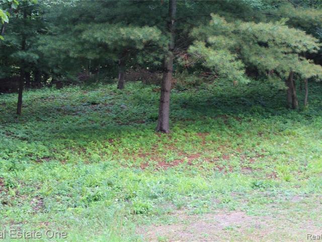 Land for sale in Wagarville, Michigan