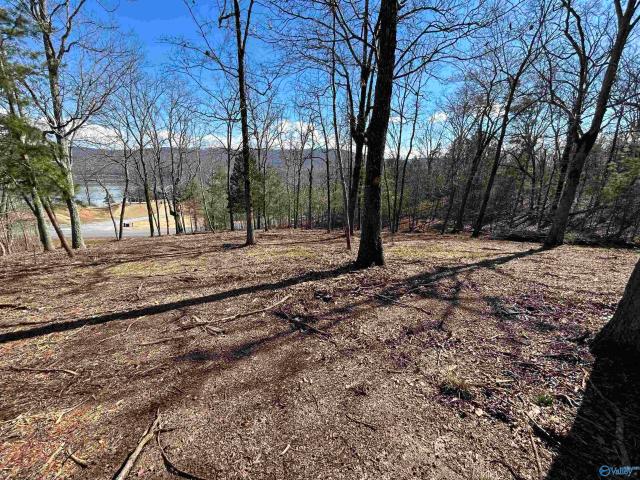 Land for sale in Scottsboro, Jackson County