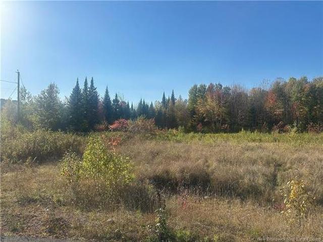 Land for sale in Carleton, New Brunswick