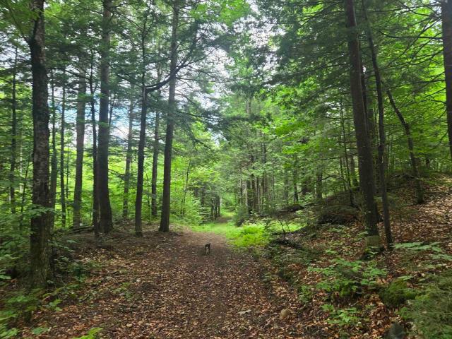 Land for sale in New Hampshire