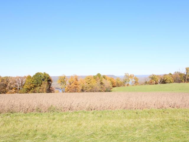 Land for sale in Wabasha, Minnesota
