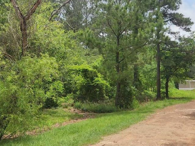 Land for sale in Grimes, Texas