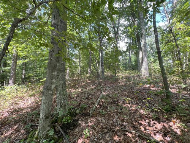 Land for sale in Tennessee