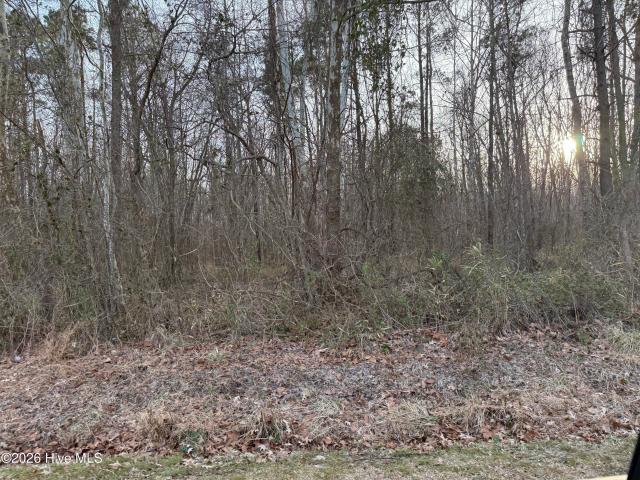 Property for sale in Roper, North Carolina
