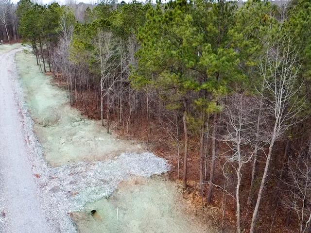 Land for sale in Barnesville, Georgia