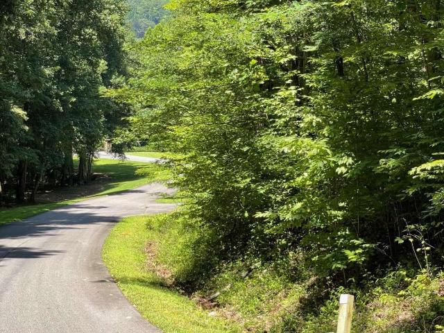 Land for sale in Hiawassee, Georgia