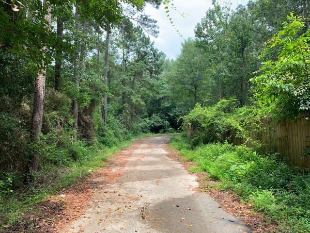 Land for sale in Newton, Texas