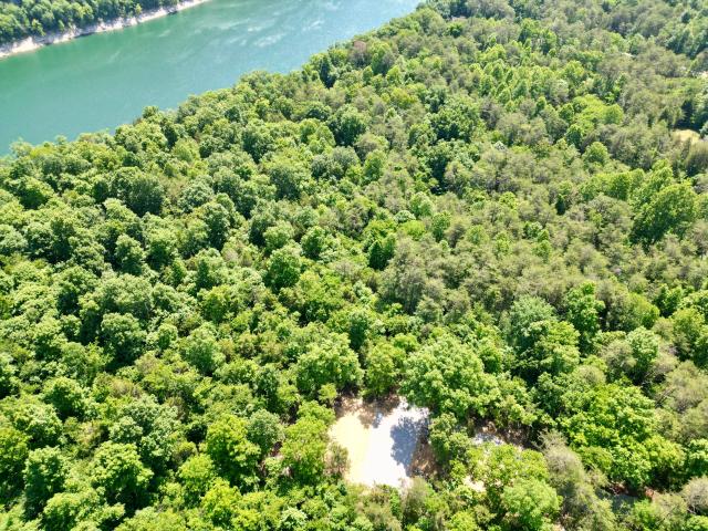 Land for sale in Burnside, Kentucky