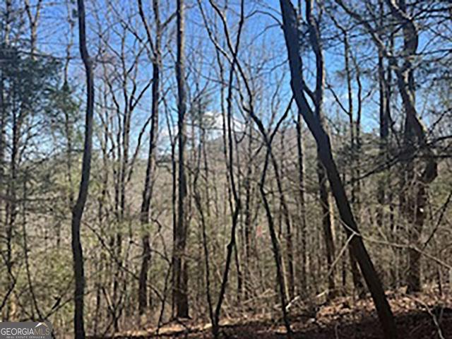 Land for sale in Gilmer, Georgia
