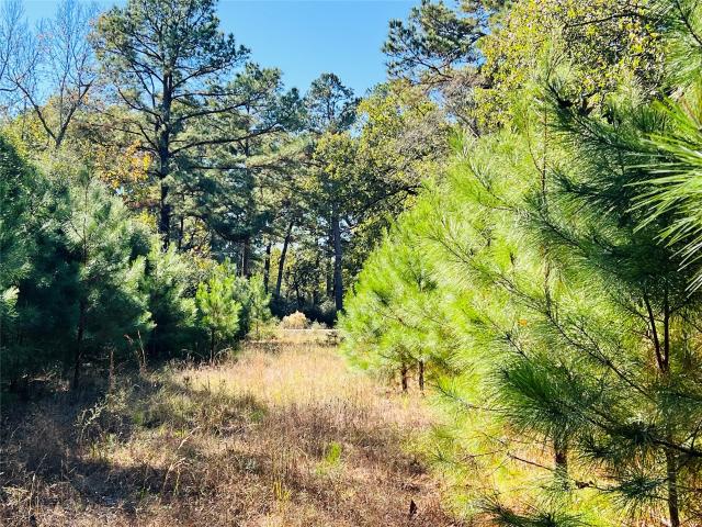 Property for sale in Leon, Texas