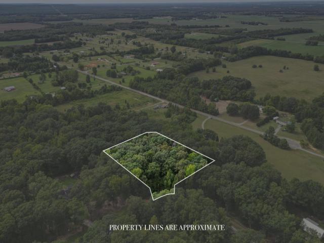 Land for sale in Trinity, Alabama