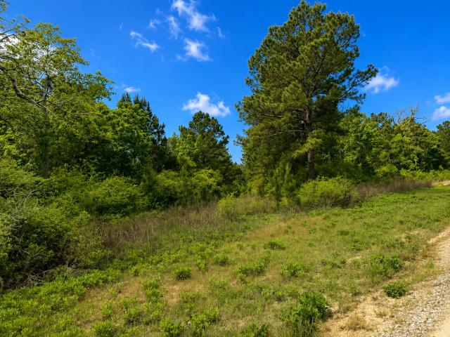 Land for sale in Leon, Texas