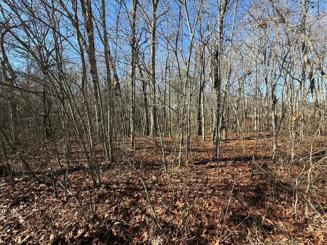 Land for sale in Tennessee