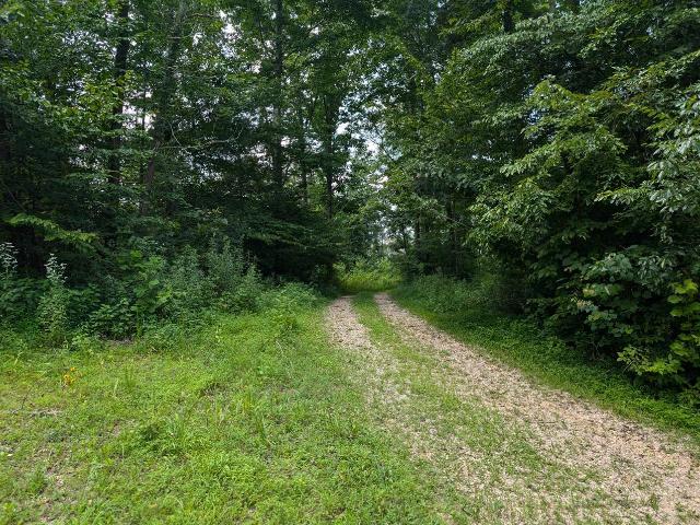 Land for sale in Fountain Run, Kentucky