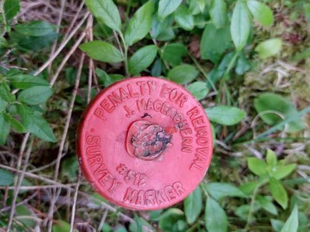 Land for sale in Cleveland, Nova Scotia