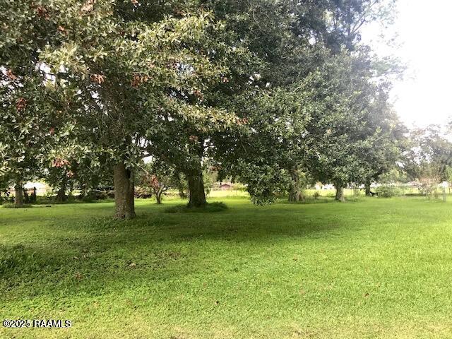 Land for sale in Iberia, Louisiana
