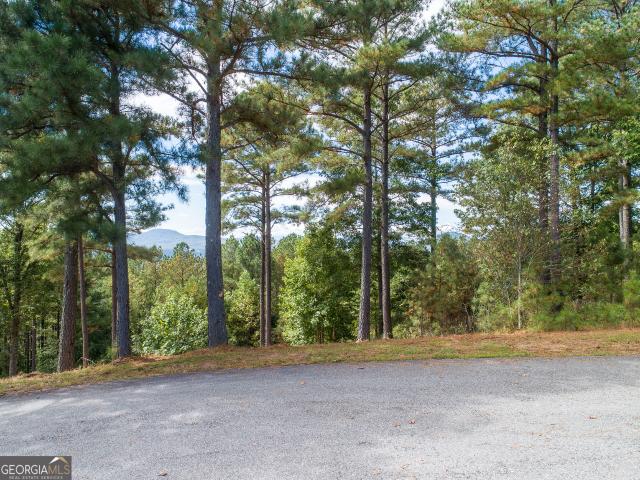 Land for sale in Blairsville, Georgia