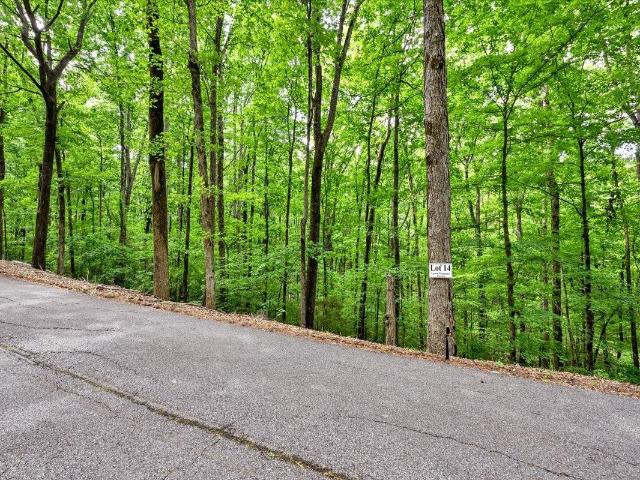 Land for sale in Falkville, Alabama