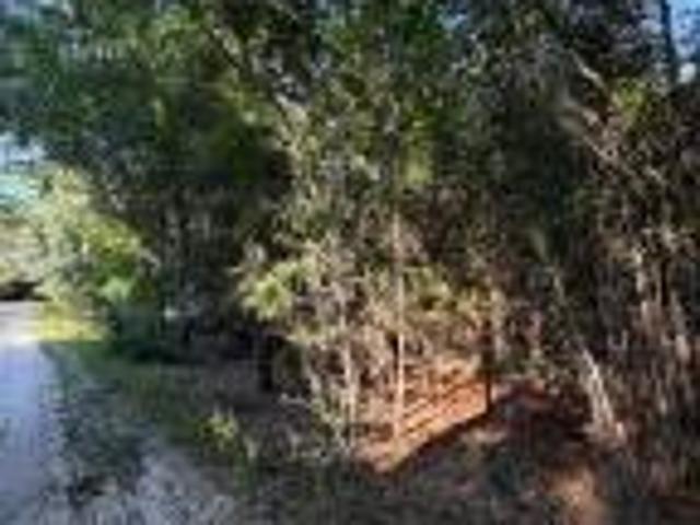 Land for sale in Barnwell, South Carolina
