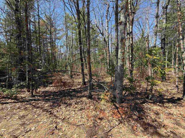 Land for sale in New Hampshire