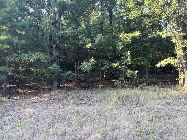 Land for sale in Ark