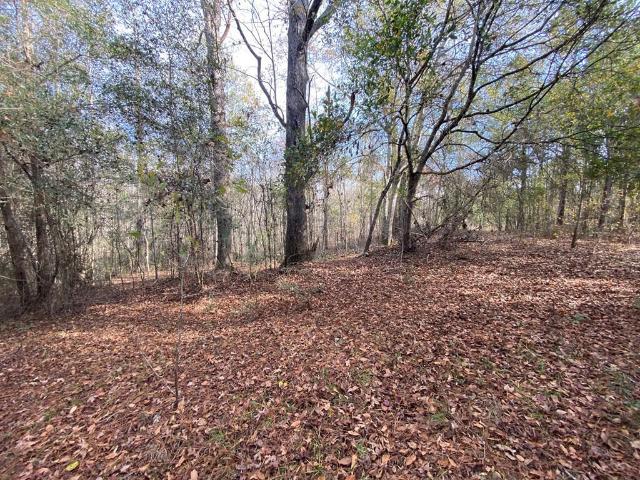 Land for sale in Swainsboro, Georgia