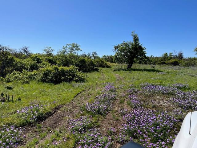 Land for sale in Doss, Texas