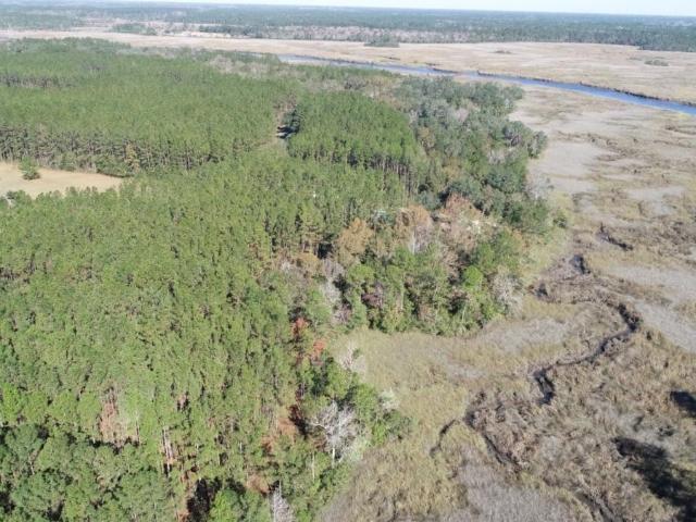 Land for sale in Georgia