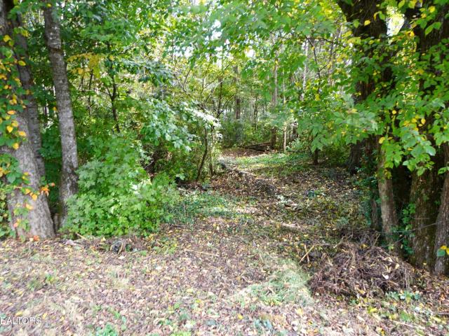 Land for sale in Tennessee