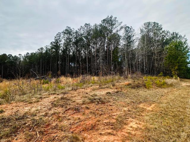 Land for sale in Lincolnton, Lincoln County