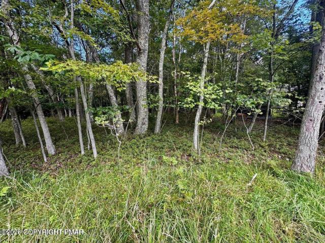 Land for sale in Carbon, Pennsylvania