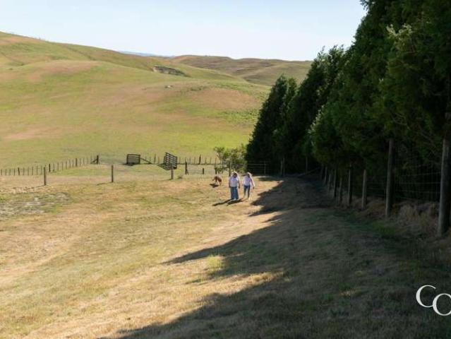 Property for sale in Maraekakaho