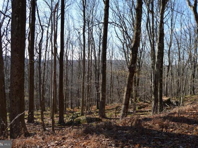 Land for sale in Terra Alta, West Virginia