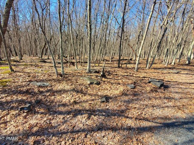 Land for sale in Dingmans Ferry, Pennsylvania