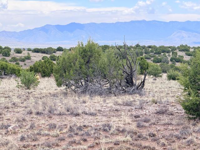 Land for sale in Magdalena, New Mexico